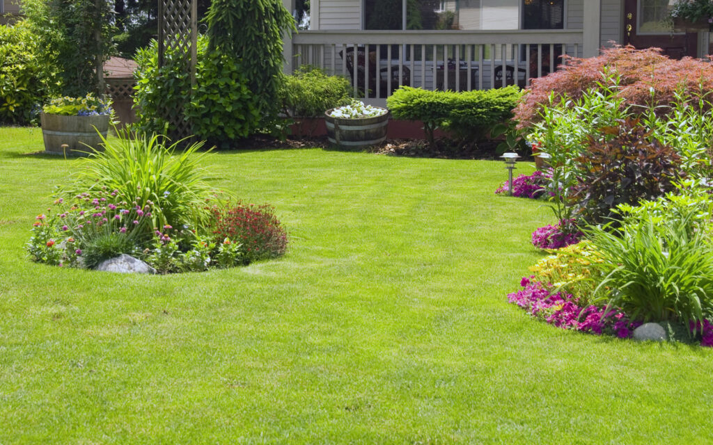 R - 2025-11-22T170637.082